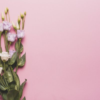 Стильный фон цветы