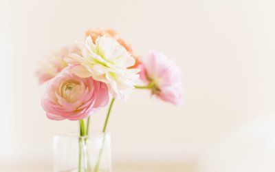 Цвеоы свеилын