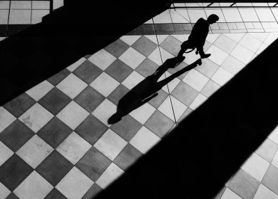 В тени человека