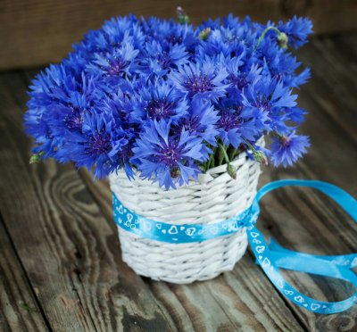 С днем рождения васильки