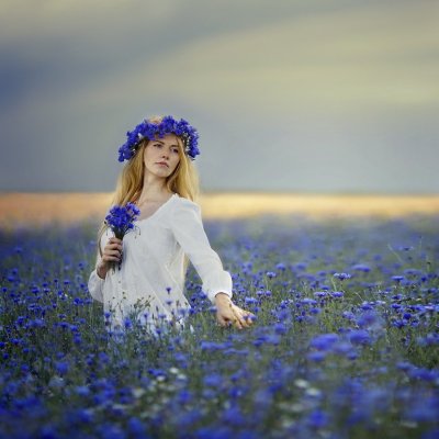 Девушка в Васильковом поле