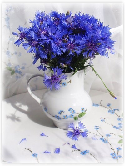 Ваза с васильками