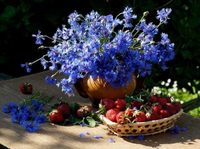 Букет полевых Васильков