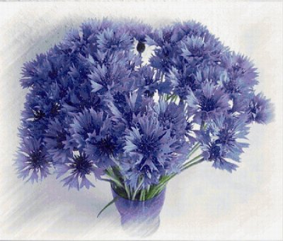 Ханс Эмменеггер букет Васильков в Эрмитаже