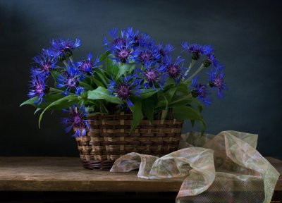 Тутунов васильки