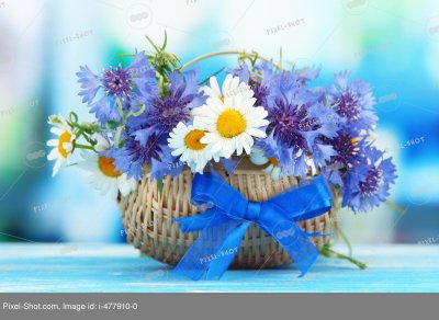 Букет Васильков