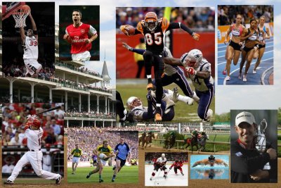 Много видов спорта