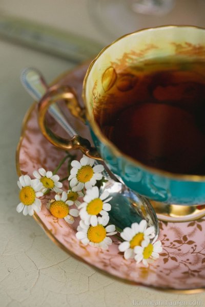 Чашечка чая