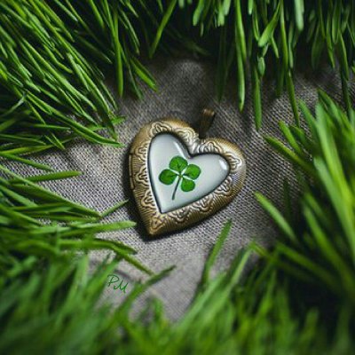 Четырёхлистный Клевер талисман