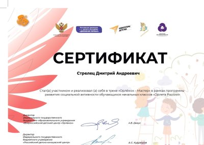 Сертификаты Орлята России Орленок мастер