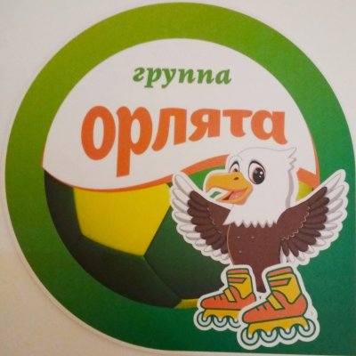 Эмблема Орлята
