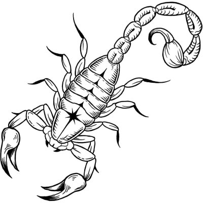 Скорпион эскиз