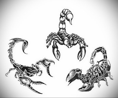 Скорпион тату эскиз