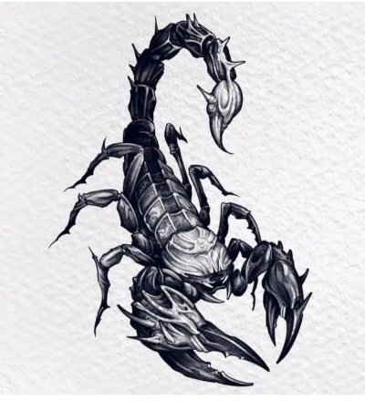 Скетч тату Скорпион
