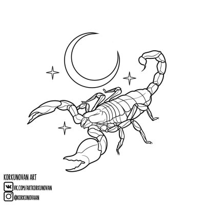 Эскизкизы тату скорпиона