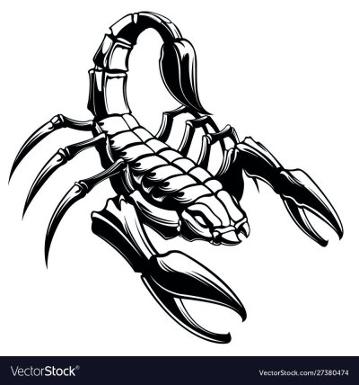 Скорпион красивый рисунок