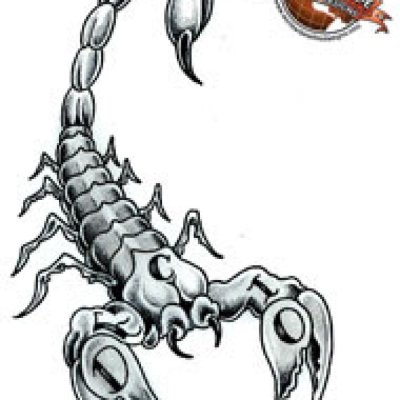 Тату Скорпион черно белый