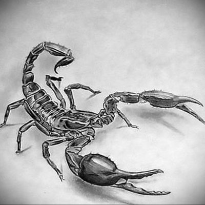 Тату скорпионс