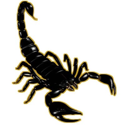 Эскизы скорпиона