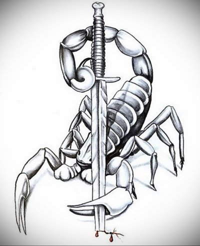 Скорпион эскиз