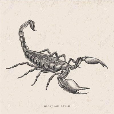 Скорпион 2м31