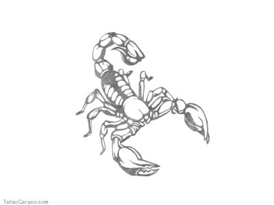 Скорпион раскраска