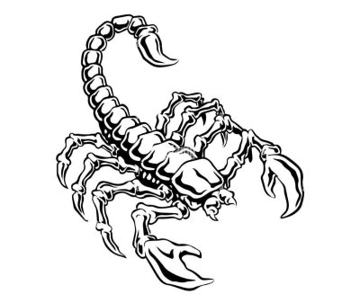 Скорпион тату эскиз