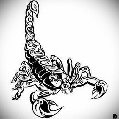 Скорпион эскиз