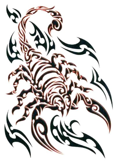 Скорпион трайбл знак зодиака