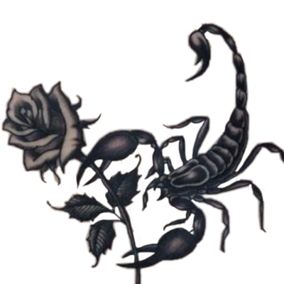 Скорпион рисунок