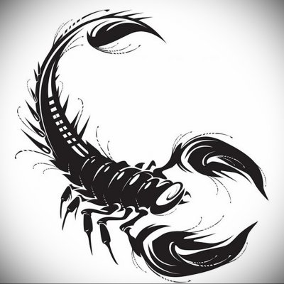 Эскиз тату черный Скорпион