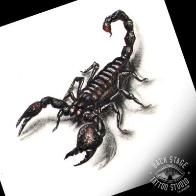 Тату Скорпион