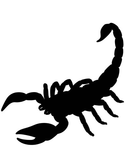 Скорпион силуэт