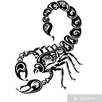 Скорпион тату эскиз