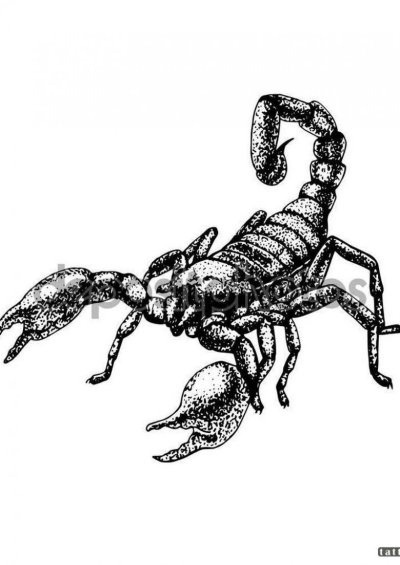 Скорпион скетч