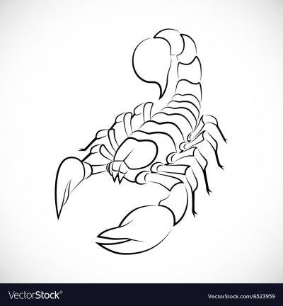 Тату Скорпион эскизы для мужчин черно белые