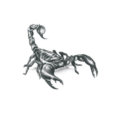 Скорпион тату эскиз