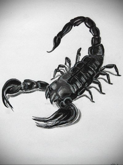 Скорпион в графике