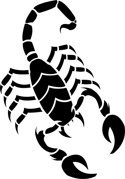 Скорпион рисунок