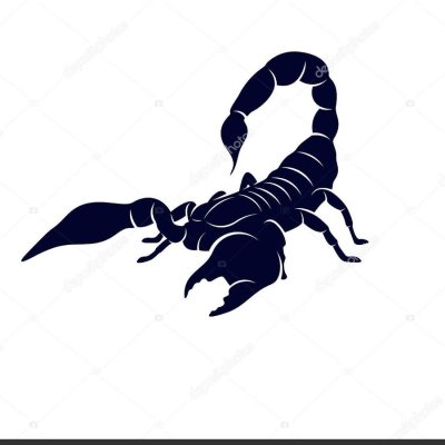 Скорпион силуэт