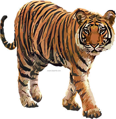 Тигренок на белом фоне