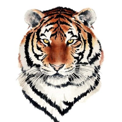 Рисунок тигра в хорошем качестве