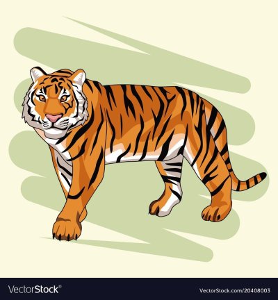 Тигр рисунок мультяшный
