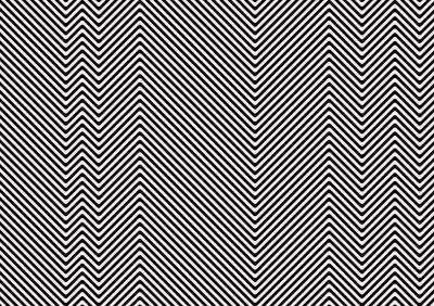 Иллюзия черно белая