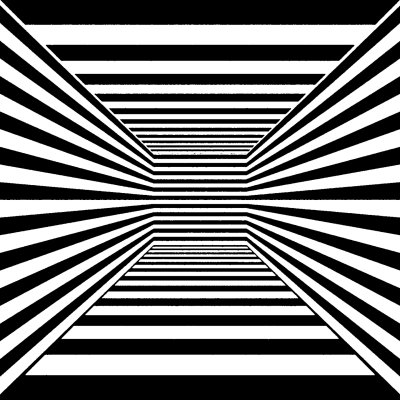 Иллюзия черно белая