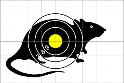 Мишень для пневматики а4 белка