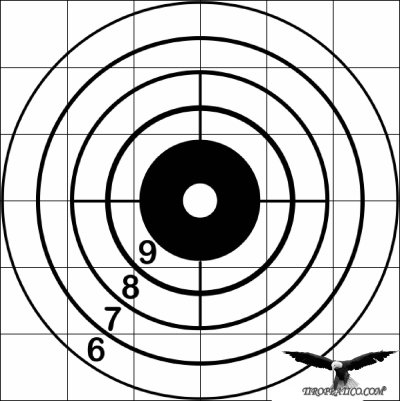 Мишени для пристрелки пневматики на 50 метров