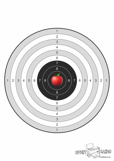 Мишень пристрелочная а4 10 метров