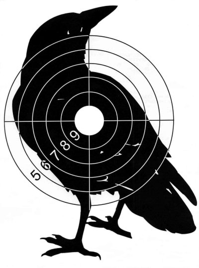 Мишень пристрелочная а4 10 метров