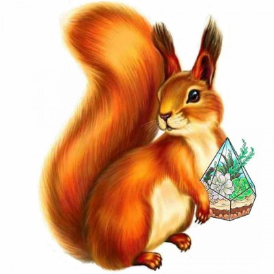 Белочка для детей